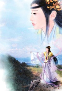 《側妃有喜:公主是小妾》