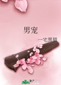 《男宠》